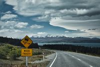 Fotografie, stra&szlig;e durch die berge, gr&uuml;nen b&auml;ume und das t&uuml;rkisfarbene wasser des pukaki sees in neuseeland, - by Erik Chemnitz