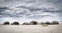 Moeraki Boulders, Neuseeland, Road Trip, Weltreise, Otago, S&uuml;dinsel, wolken mit blick auf Runde steine