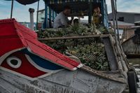 A young boy and his father are sitting on a red boat loaded with pineapples. The boy is crying